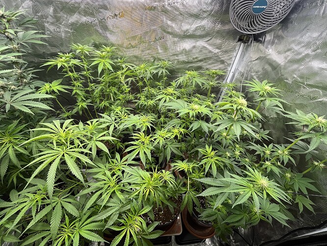 Growreport Bild 12