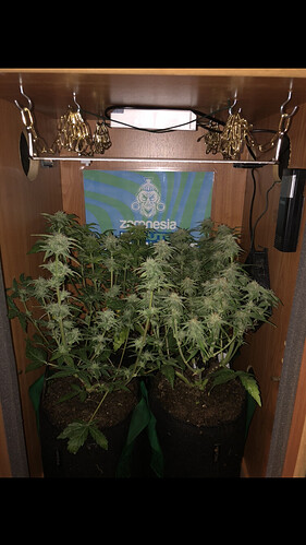 Growreport Bild 20