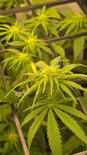 Growreport Bild 16