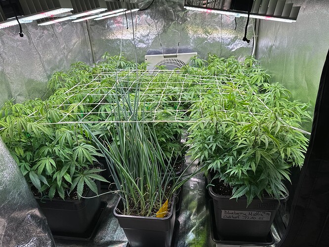 Growreport Bild 10