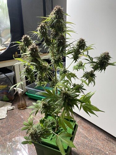 Growreport Bild 8