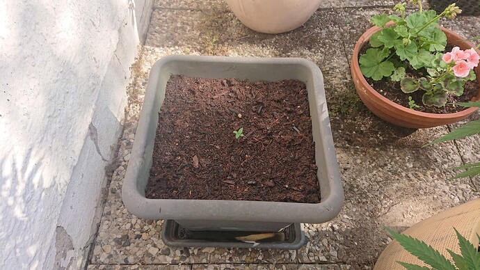 Growreport Bild 99