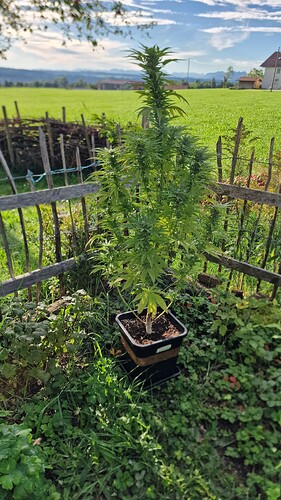 Growreport Bild 8