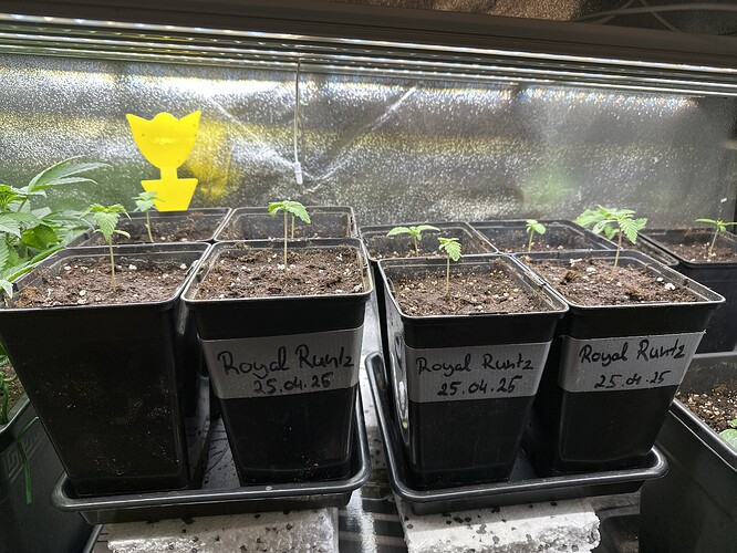 Growreport Bild 21