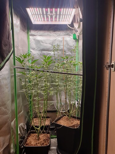 Growreport Bild 7