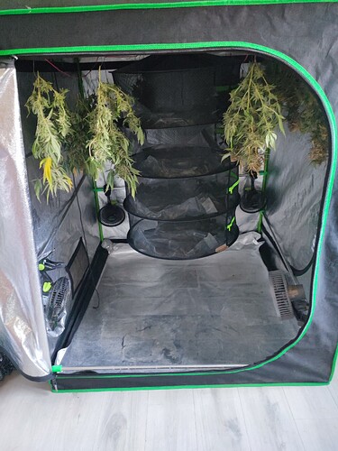 Growreport Bild 45