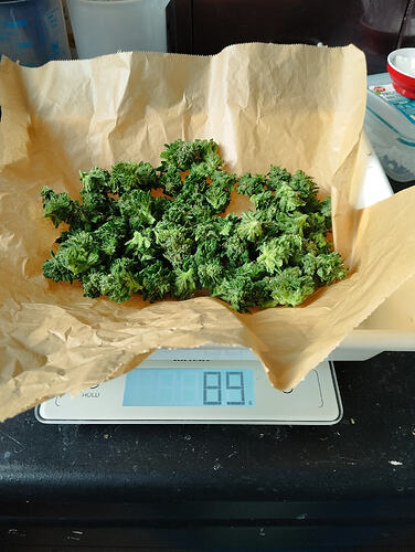 Growreport Bild 8