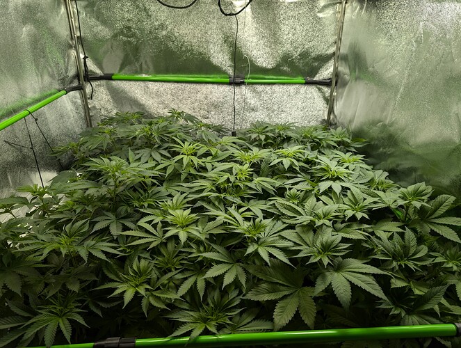 Growreport Bild 4