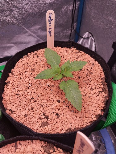 IMG_20241130_154333 - Kopie