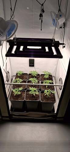 Growreport Bild 7