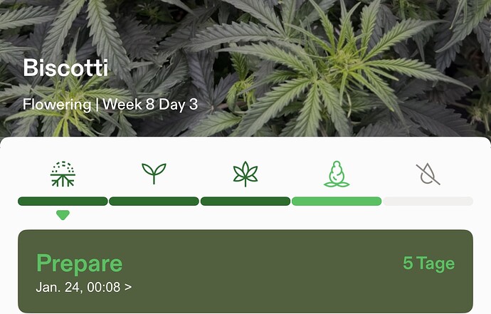 Growreport Bild 13