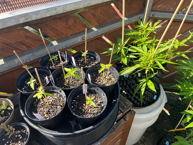 Growreport Bild 6