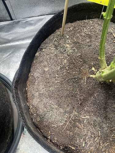 Growreport Bild 10