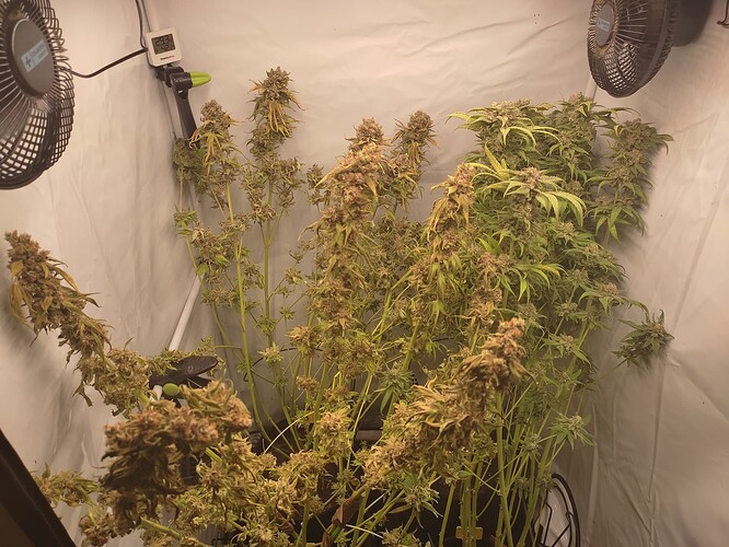 Growreport Bild 8