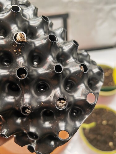 Growreport Bild 15