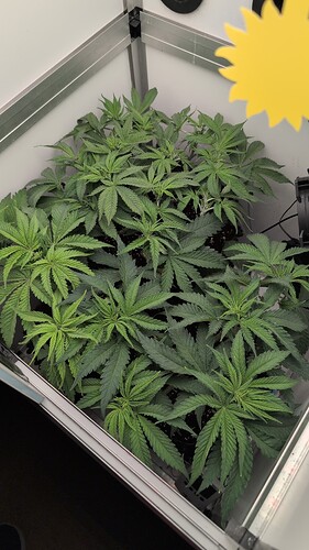 Growreport Bild 15