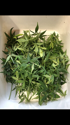 Growreport Bild 8