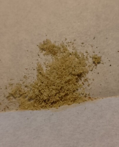 Growreport Bild 8