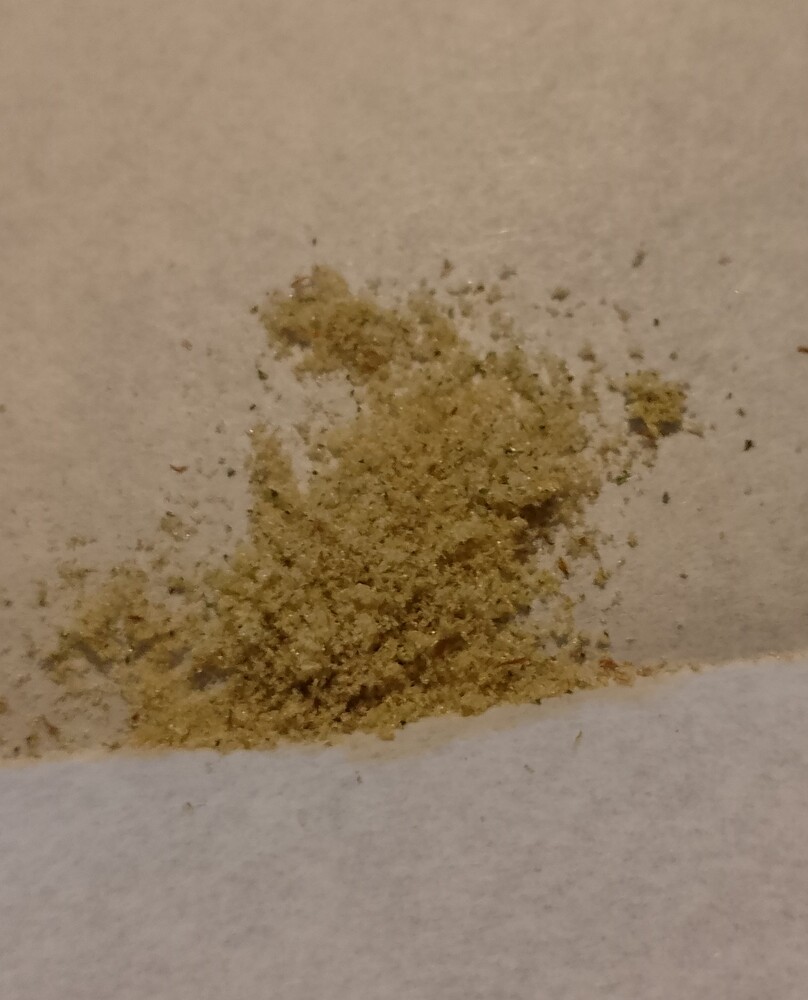 Pfifferlings erster Indoor Low Budget Grow(Blueberry Automatik Zamnesia)