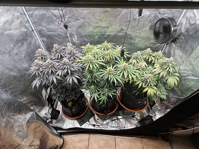Growreport Bild 1