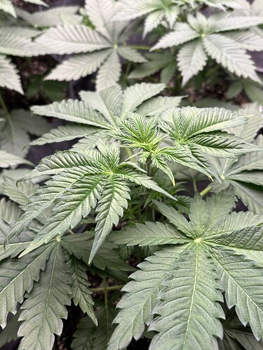 Growreport Bild 11