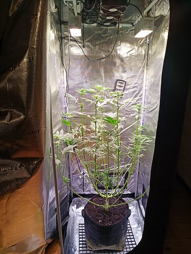Growreport Bild 5