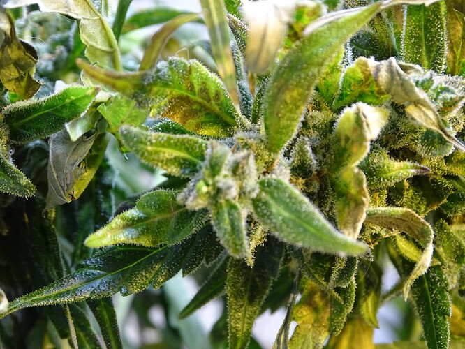 Growreport Bild 15