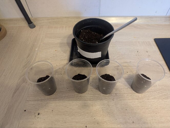 photo_2025-02-24_17-23-28