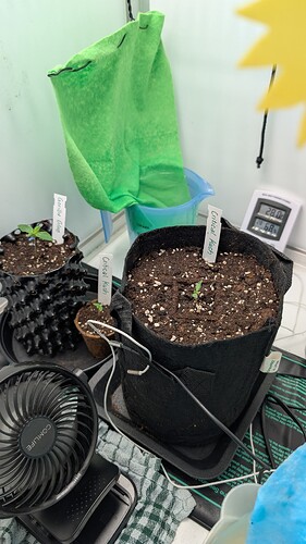 PXL_20250316_105453400.MP