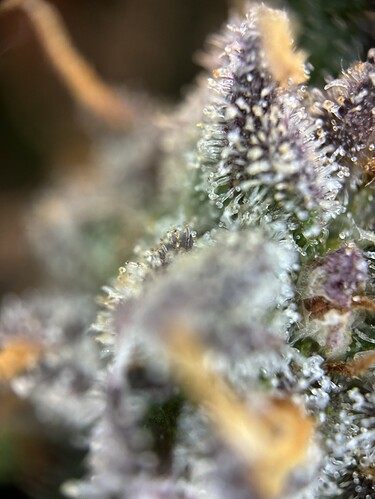 Growreport Bild 16