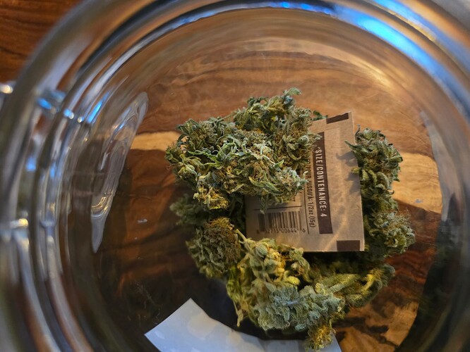 Growreport Bild 19