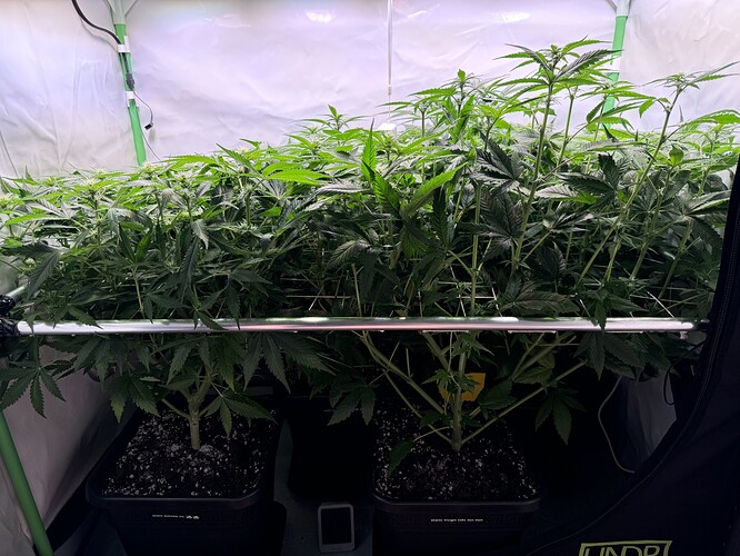 Growreport Bild 19