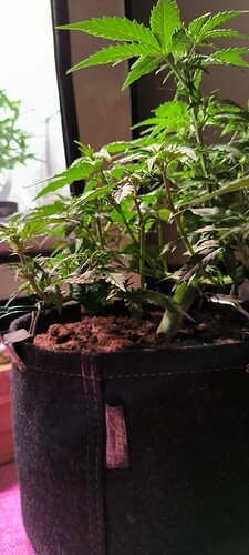 Growreport Bild 3