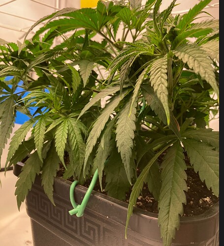 Growreport Bild 11