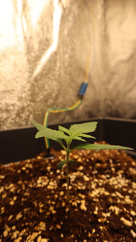 Growreport Bild 5