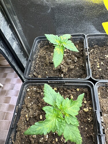 Growreport Bild 5