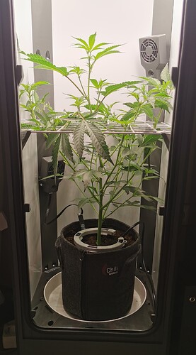 IMG_20240517_191000_edit_92288928686958