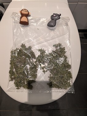 Growreport Bild 25