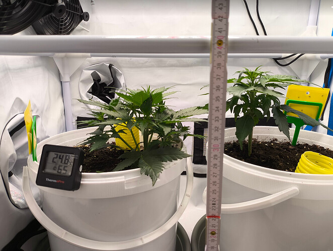 Growreport Bild 4