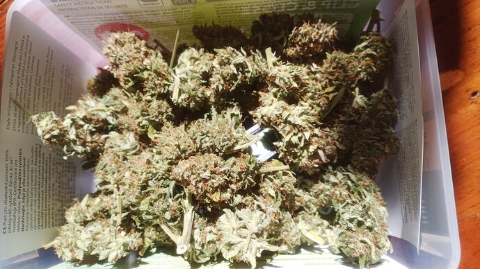 Growreport Bild 13