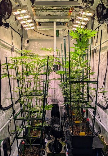 Growreport Bild 1