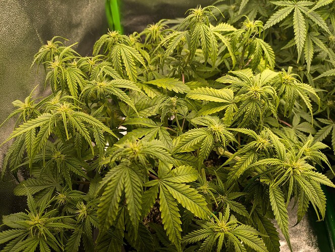 Growreport Bild 10