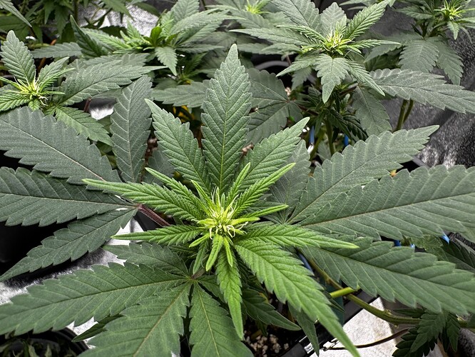 20240630_095745848_iOS