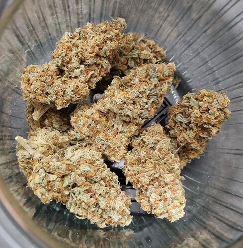 Growreport Bild 18
