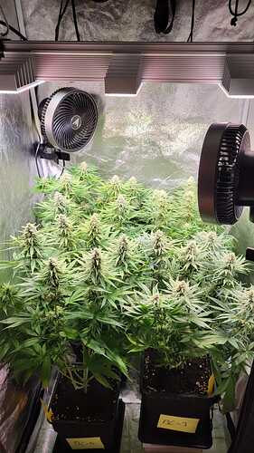 Growreport Bild 1