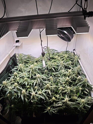 MVIMG_20251102_201239