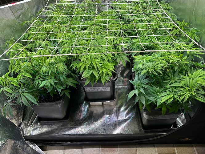 Growreport Bild 14