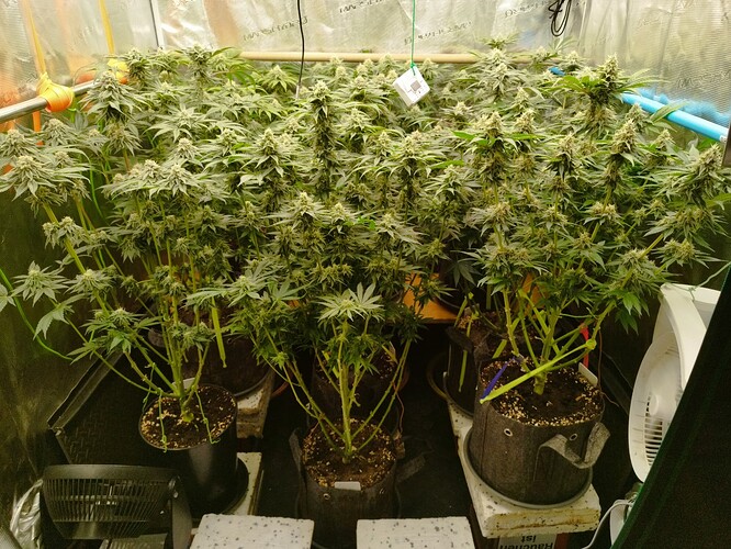 Growreport Bild 16