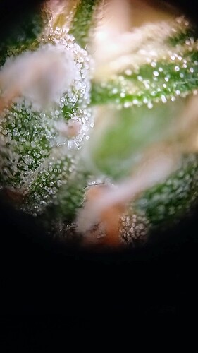 20250126_120228_exported_11466~2