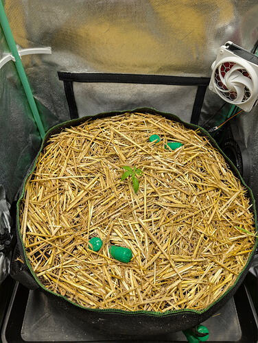 Growreport Bild 1